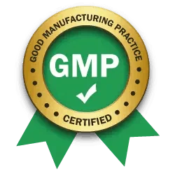 gmp-certified-500x300